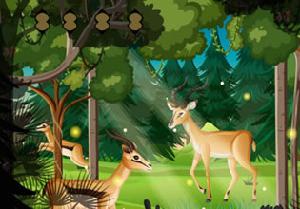 play Free The Raccoon