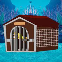 play Save The Grandpa Fish
