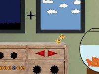 play Find Cat Orion With Gift