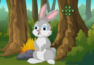 play Bunnies Seeking Water Fountain
