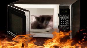 play You Are Stuck In A Microwave