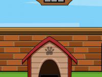 play Rescue The Cute Puppy From Cage