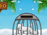 play Arctic Fox Rescue From Cage