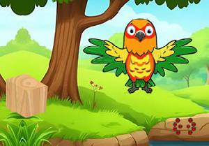 play Parrot Reach Out The Hut