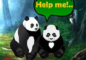play Searching Missed Panda Siblings