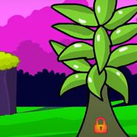 play G2L-Beauty-Girl-Rescue