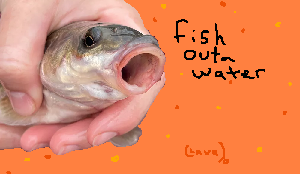 play Fish Outa Water