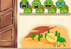 play Find The Old Tortoise