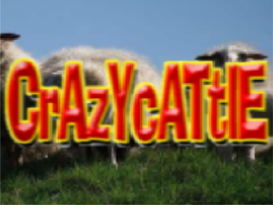 play Crazy Cattle Free