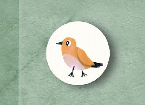 play Bird Book