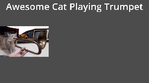 play Awesome Cat Playing Trumpet