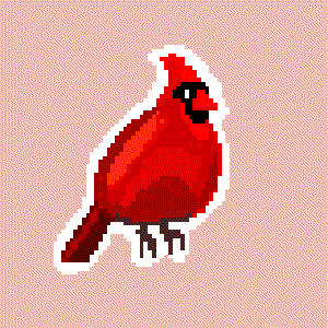 play Breaking News | Live | A Disagreement Among Cardinals
