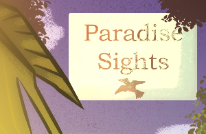 play Paradise Sights