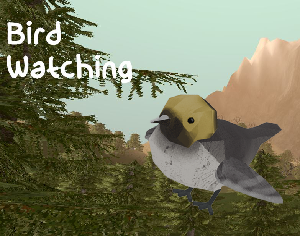 play Bird Watching
