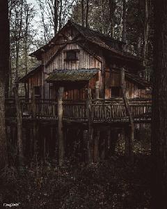 play The Cottage Tarot Quiz