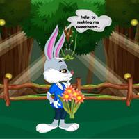 Bunny Seeking Sweetheart game