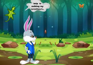 play Bunny Seeking Sweetheart