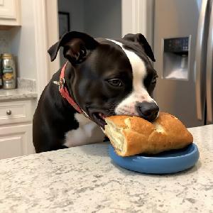 play Luna'S Quest For Bread Demo