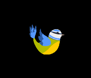 play Bird Game