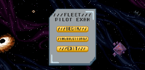 play Fleet Pilot Exam