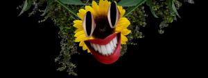 play Omega Flowey Alt (Unofficial)