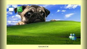 play Quack.Exe