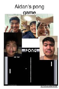 play Aidans Pong Game