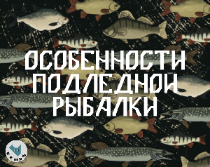 play Особенности Подледной Рыбалки