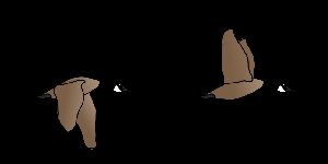 play Fear Of Geese