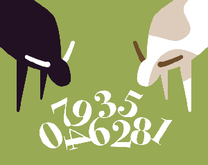 play Bulls And Cows