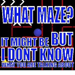 play What Maze?