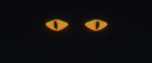play Through The Veil: A Fever Dream