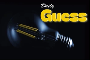 Daily Guess game