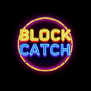 play Block Catch