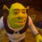 Shrek Escape From The Swamp game