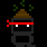 play The Crappy Ninja
