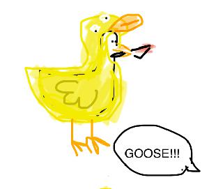 Duck Duck Goose game