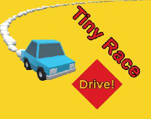 play Tiny Race