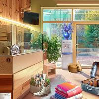 Zen-Hideaway game