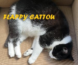 Flappy Cattou game