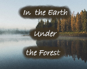 play In The Earth Under The Forest
