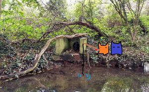 play Cat Friends