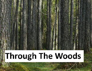 play Through The Woods