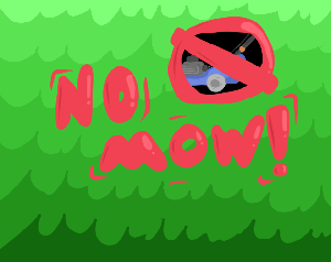 play No Mow!