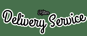 play Kitten Delivery Service