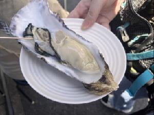 play Oysteroaster