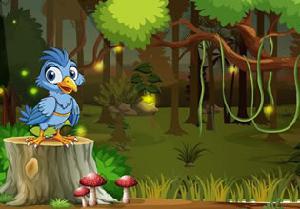 Trapped Owl Family Escape game