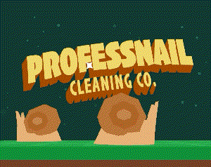 play Professnail Cleaning Co.
