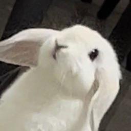 play Gray Treatment, But Fully Animated