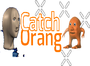 play Catch Orang